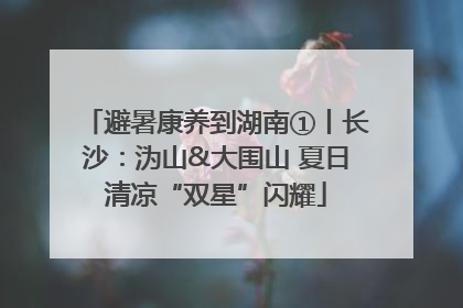 避暑康养到湖南①丨长沙：沩山&大围山 夏日清凉“双星”闪耀