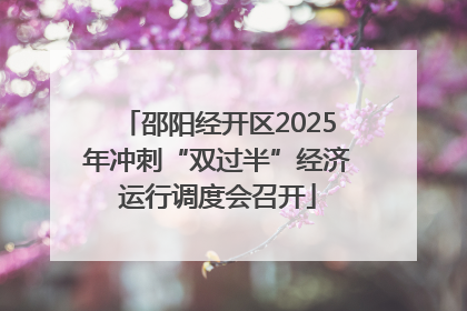 邵阳经开区2025年冲刺“双过半”经济运行调度会召开