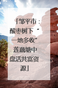 邹平市：酸枣树下“一地多收” 莲藕塘中盘活共富资源