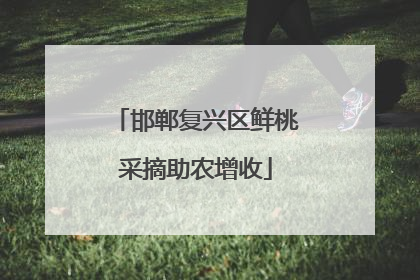 邯郸复兴区鲜桃采摘助农增收
