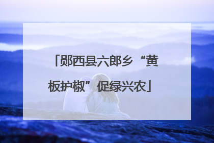 郧西县六郎乡“黄板护椒”促绿兴农