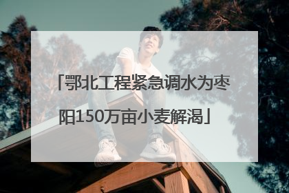 鄂北工程紧急调水为枣阳150万亩小麦解渴