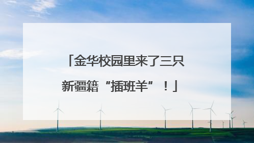 金华校园里来了三只新疆籍“插班羊”！