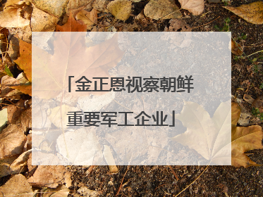 金正恩视察朝鲜重要军工企业