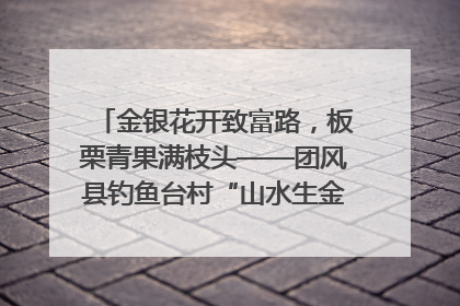 金银花开致富路，板栗青果满枝头——团风县钓鱼台村“山水生金”谱写共富新篇章