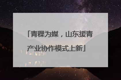 青稞为媒，山东援青产业协作模式上新