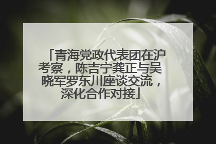 青海党政代表团在沪考察，陈吉宁龚正与吴晓军罗东川座谈交流，深化合作对接