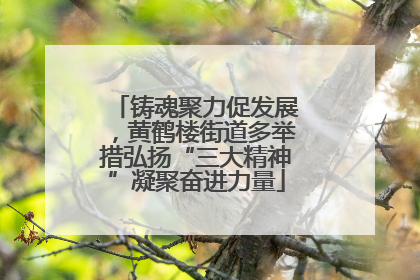 铸魂聚力促发展，黄鹤楼街道多举措弘扬“三大精神”凝聚奋进力量