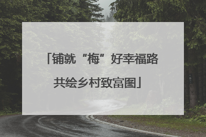 铺就“梅”好幸福路 共绘乡村致富图