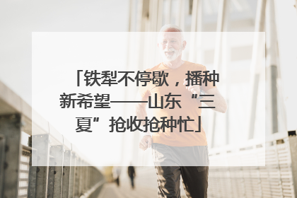 铁犁不停歇，播种新希望——山东“三夏”抢收抢种忙