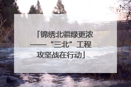 锦绣北疆绿更浓——“三北”工程攻坚战在行动