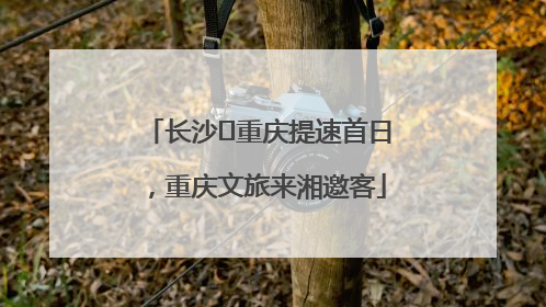 长沙⇌重庆提速首日，重庆文旅来湘邀客