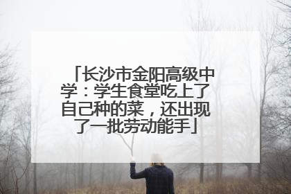 长沙市金阳高级中学：学生食堂吃上了自己种的菜，还出现了一批劳动能手