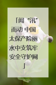 闻“汛”而动 中国太保产险丽水中支筑牢安全守护网