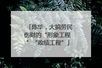 陈华，大搞劳民伤财的“形象工程”“政绩工程”
