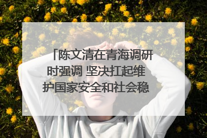 陈文清在青海调研时强调 坚决扛起维护国家安全和社会稳定职责使命 为谱写中国式现代化青海篇章贡献政法力量