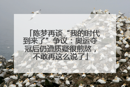 陈梦再谈“我的时代到来了”争议：奥运夺冠后仍遭质疑很煎熬，不敢再这么说了
