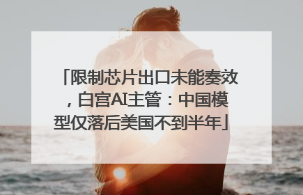 限制芯片出口未能奏效，白宫AI主管：中国模型仅落后美国不到半年