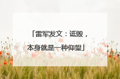 雷军发文：诋毁，本身就是一种仰望