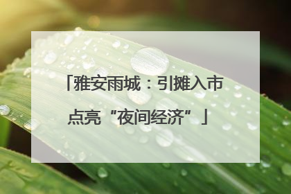 雅安雨城：引摊入市 点亮“夜间经济”