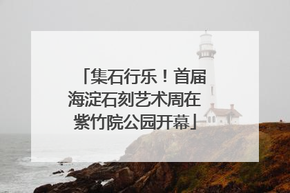 集石行乐！首届海淀石刻艺术周在紫竹院公园开幕