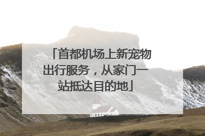 首都机场上新宠物出行服务，从家门一站抵达目的地