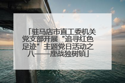 驻马店市直工委机关党支部开展“追寻红色足迹”主题党日活动之八——鏖战独树镇
