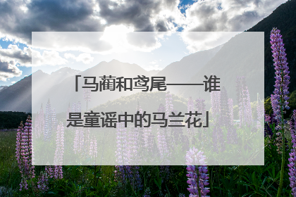马蔺和鸢尾——谁是童谣中的马兰花