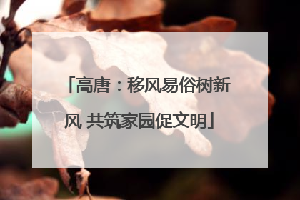 高唐：移风易俗树新风 共筑家园促文明