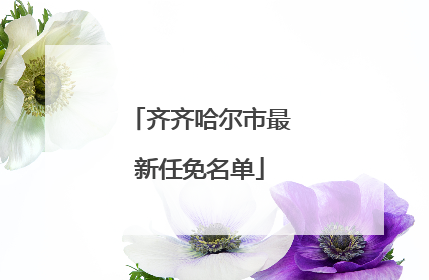 齐齐哈尔市最新任免名单