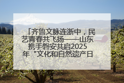 齐鲁文脉连浙中，民艺青春共飞扬——山东携手磐安共启2025年“文化和自然遗产日”系列活动