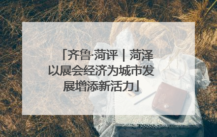 齐鲁·菏评｜菏泽以展会经济为城市发展增添新活力