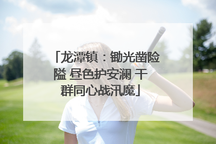 龙潭镇：锄光凿险隘 昼色护安澜 干群同心战汛魔