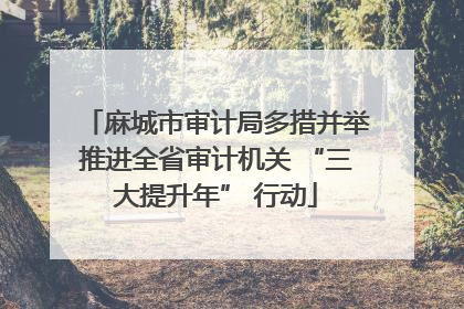 麻城市审计局多措并举推进全省审计机关 “三大提升年” 行动