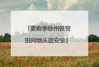 麦收季徐州铁警田间地头话安全