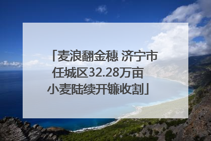麦浪翻金穗 济宁市任城区32.28万亩小麦陆续开镰收割