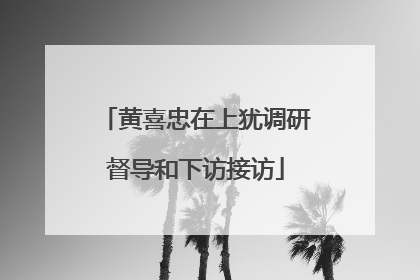黄喜忠在上犹调研督导和下访接访