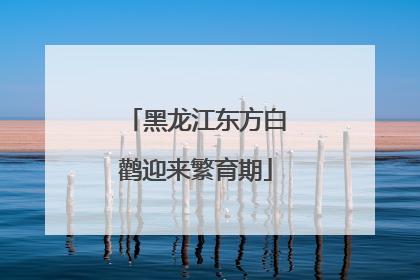 黑龙江东方白鹳迎来繁育期