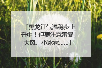 黑龙江气温稳步上升中！但要注意雷暴大风、小冰雹……