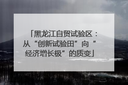 黑龙江自贸试验区：从“创新试验田”向“经济增长极”的质变