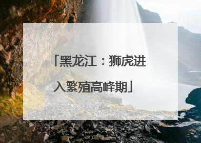 黑龙江：狮虎进入繁殖高峰期