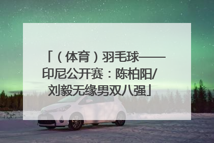 （体育）羽毛球——印尼公开赛：陈柏阳/刘毅无缘男双八强