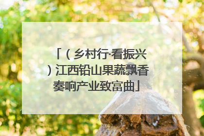 （乡村行·看振兴）江西铅山果蔬飘香 奏响产业致富曲