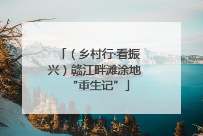 （乡村行·看振兴）赣江畔滩涂地“重生记”