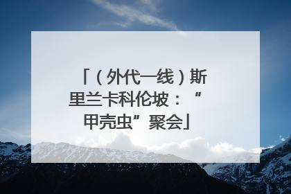 （外代一线）斯里兰卡科伦坡：“甲壳虫”聚会