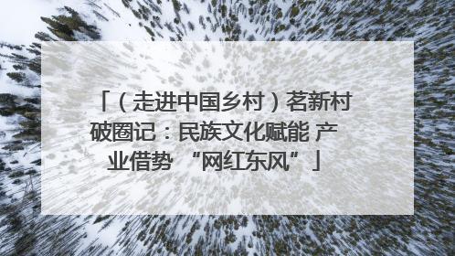 （走进中国乡村）茗新村破圈记：民族文化赋能 产业借势 “网红东风”