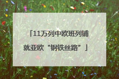 11万列中欧班列铺就亚欧“钢铁丝路”