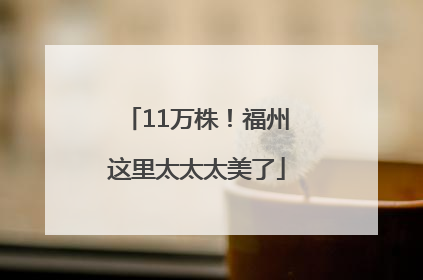 11万株！福州这里太太太美了