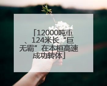 12000吨重、124米长“巨无霸”在本桓高速成功转体