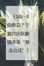1亩=3倍收益？宁夏兴庆区解锁改革“黄金公式”